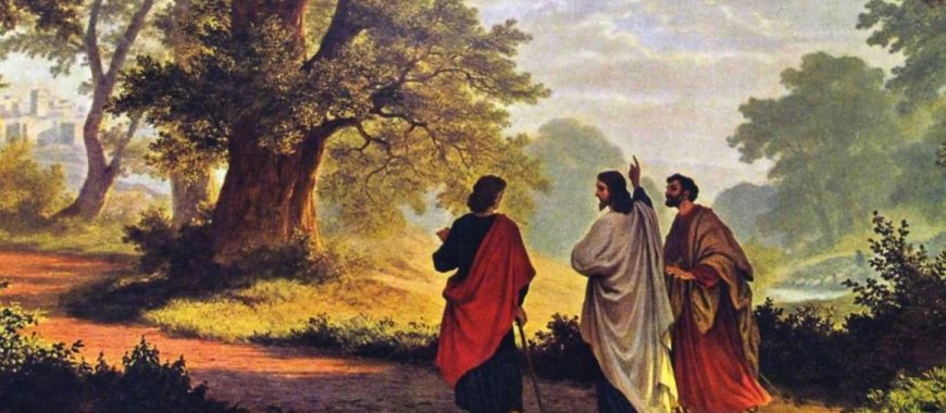 Curso de la Universidad San Dámaso